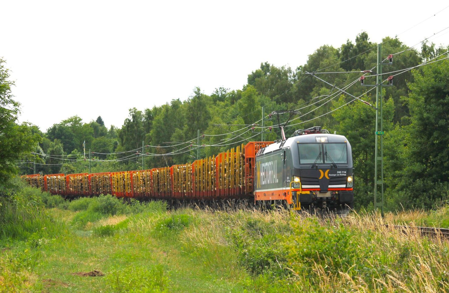 Timber transport train