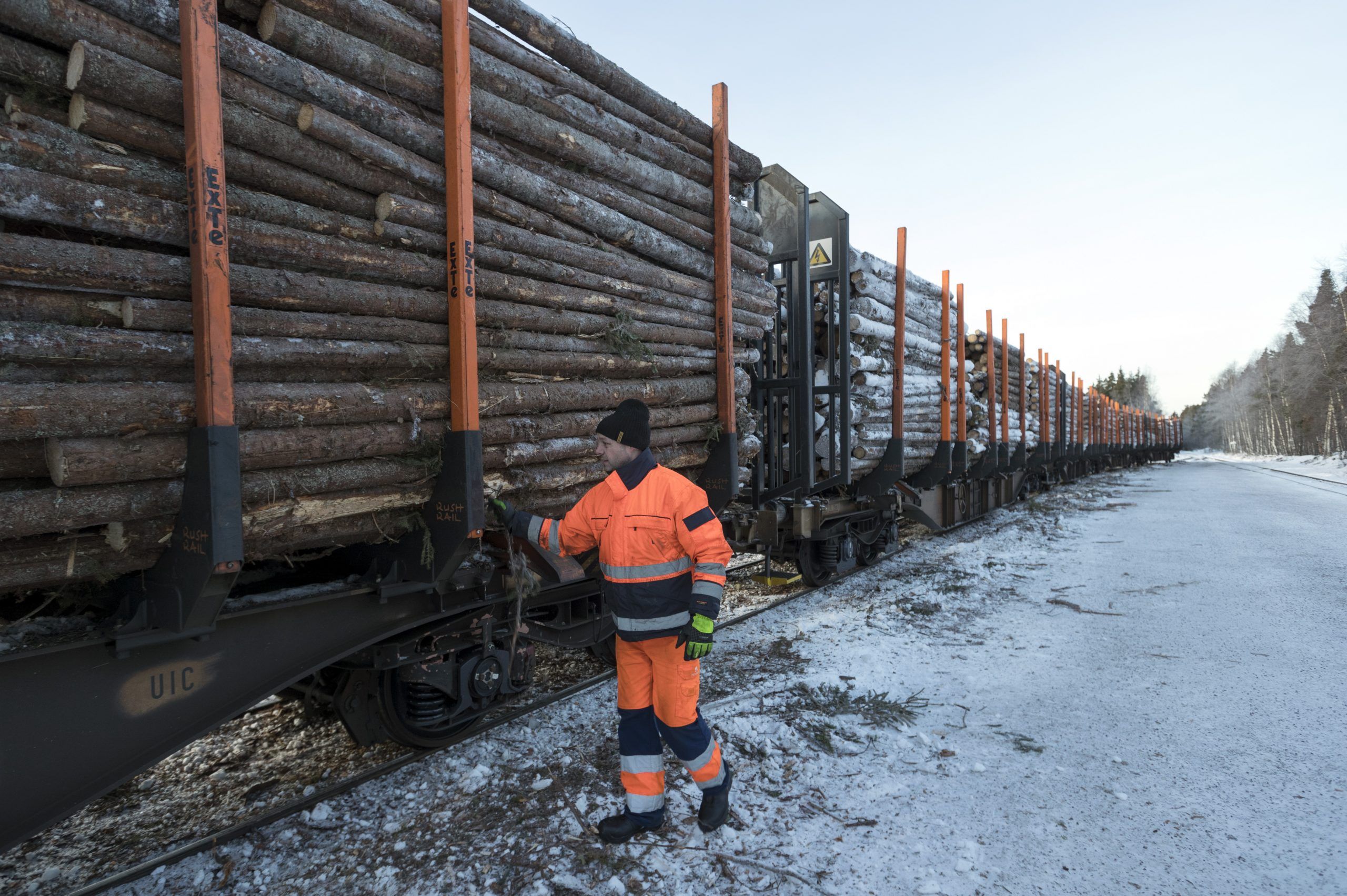 Hector Rail Commitment Timber Logs